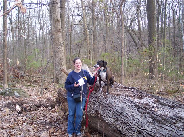100_1283 (Small).jpg