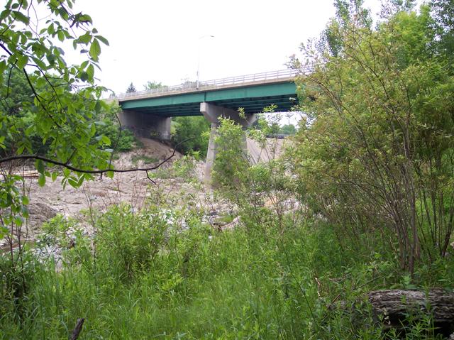 100_1552 (Small).JPG