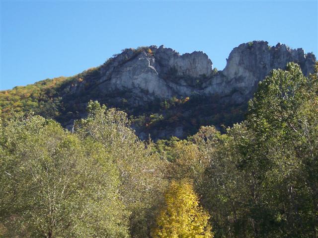 100_1911 (Small)1.JPG