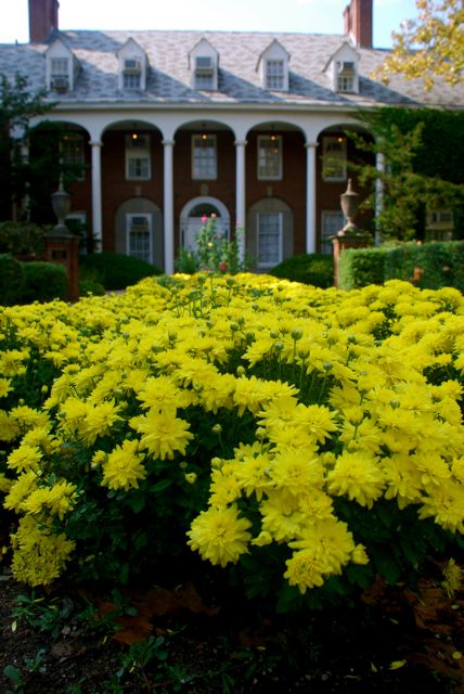 e-moore-hall.jpg
